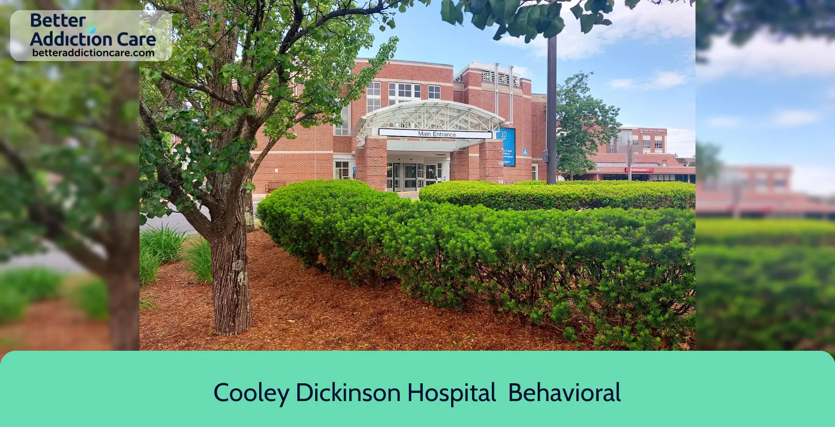Cooley Dickinson Hospital 30 Locust Street 1 Cooley Dickinson Hospital 30 Locust Street 1