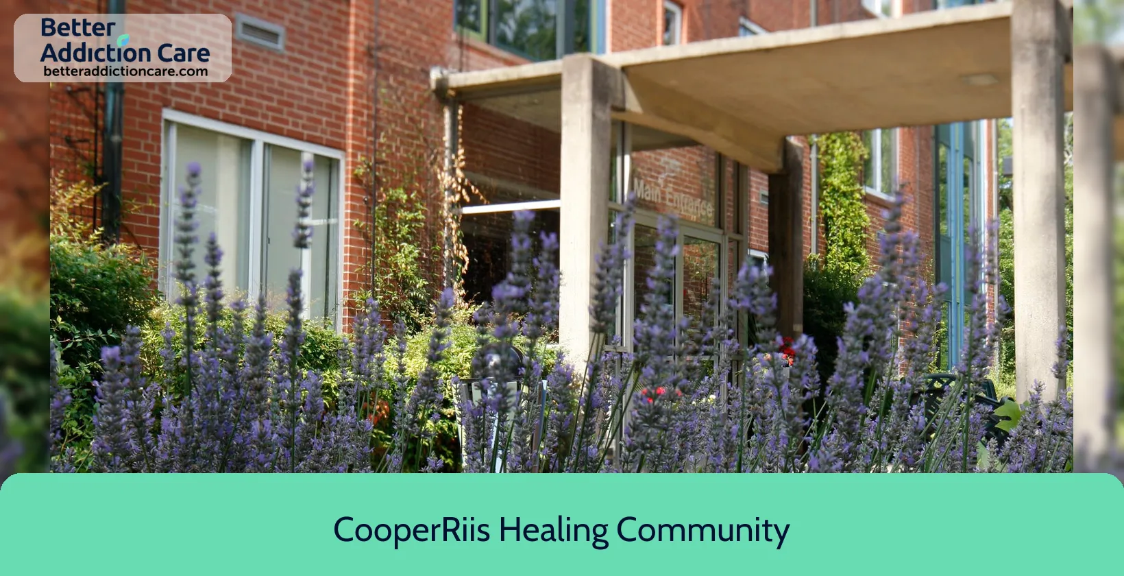 CooperRiis Healing Community 85 Zillicoa Street 1 CooperRiis Healing Community 85 Zillicoa Street 1