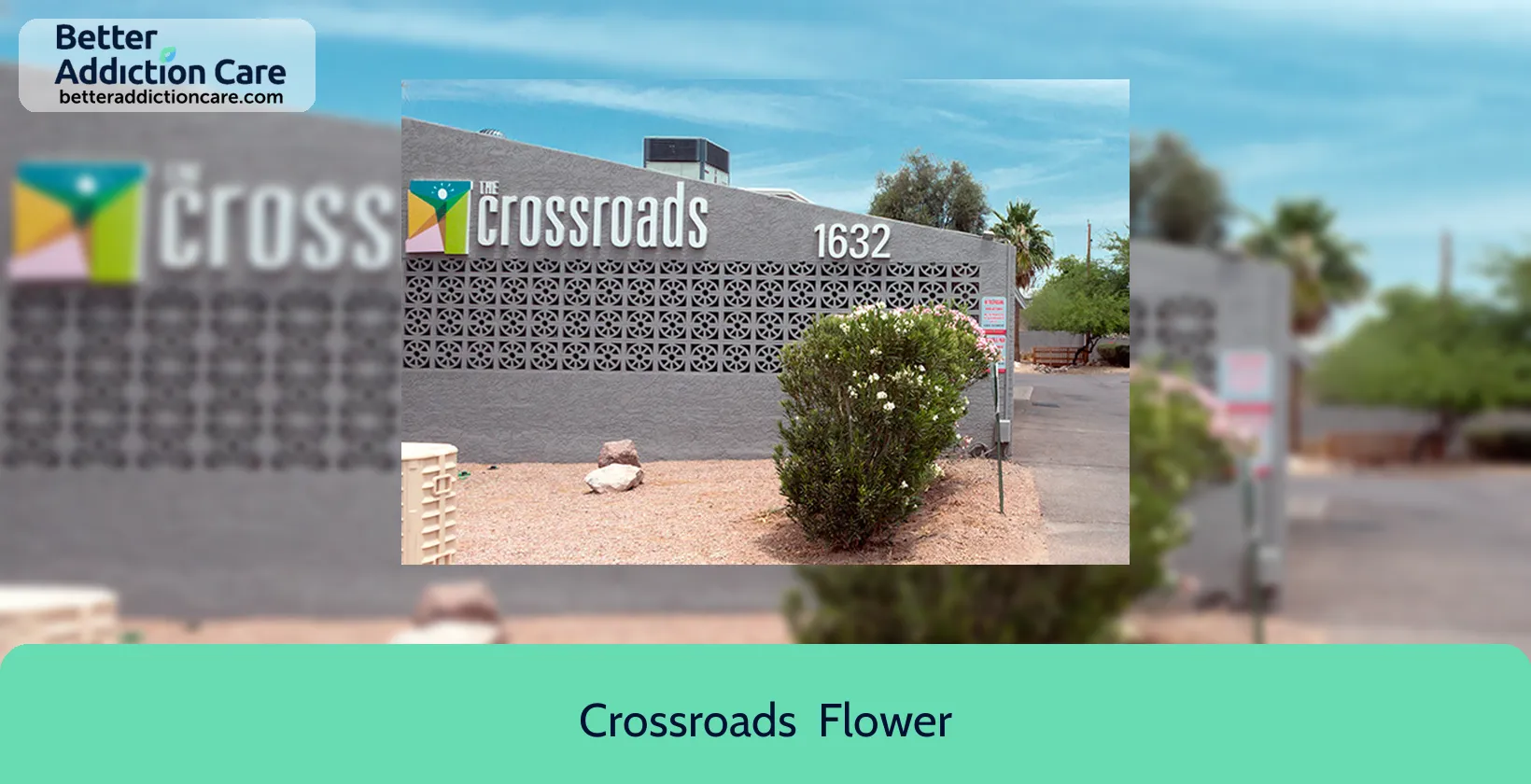 Crossroads Flower 1632 East Flower 1 Crossroads Flower 1632 East Flower 1