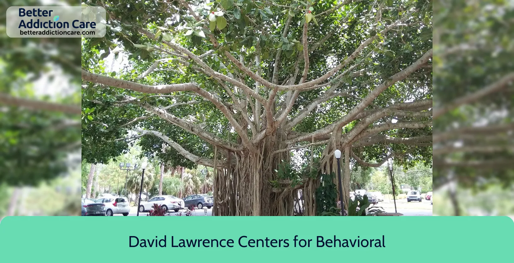 David Lawrence Centers 6075 Bathey Lane 2 David Lawrence Centers 6075 Bathey Lane 2