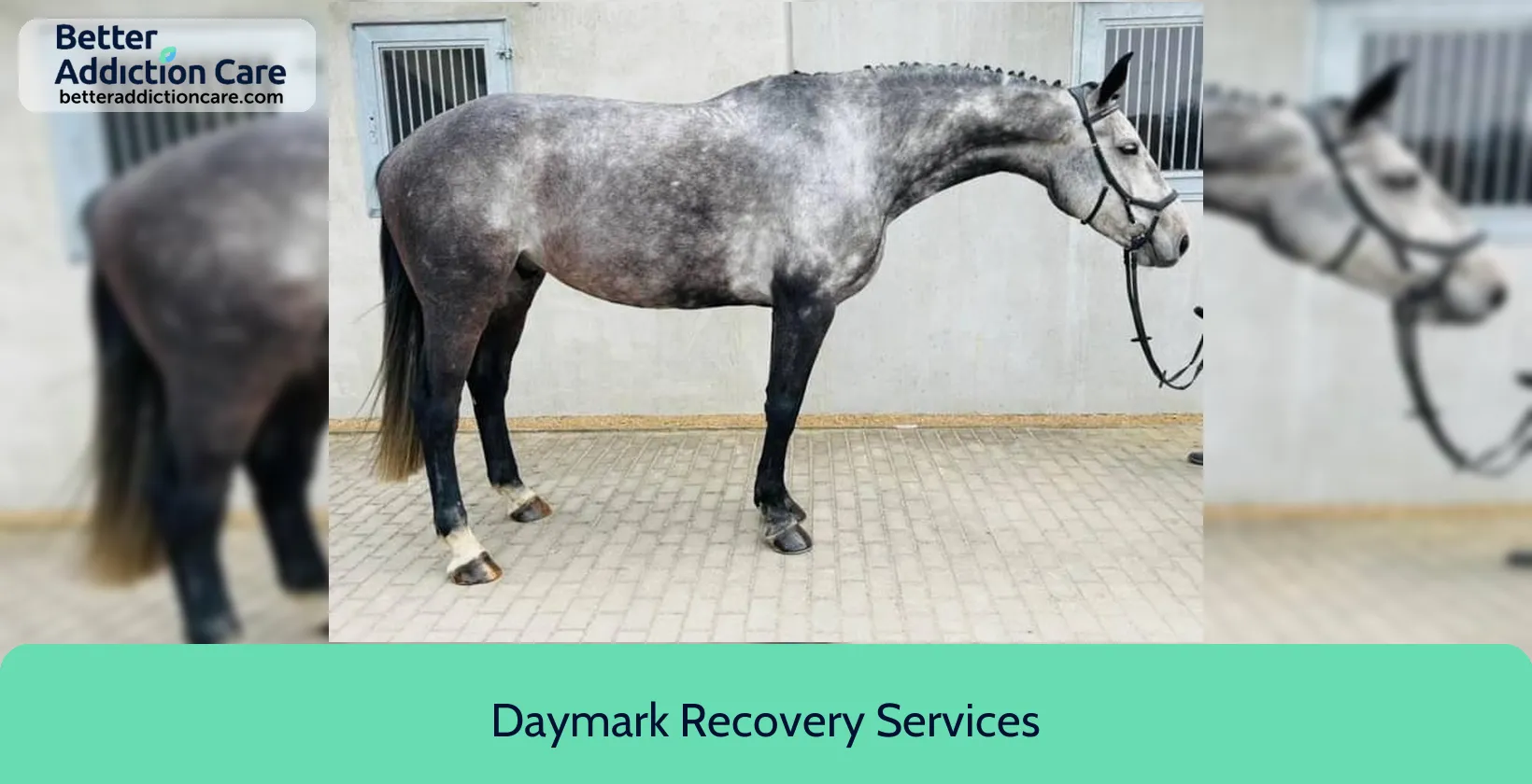 Daymark Recovery Services 318 Turnersburg Highway 1 Daymark Recovery Services 318 Turnersburg Highway 1