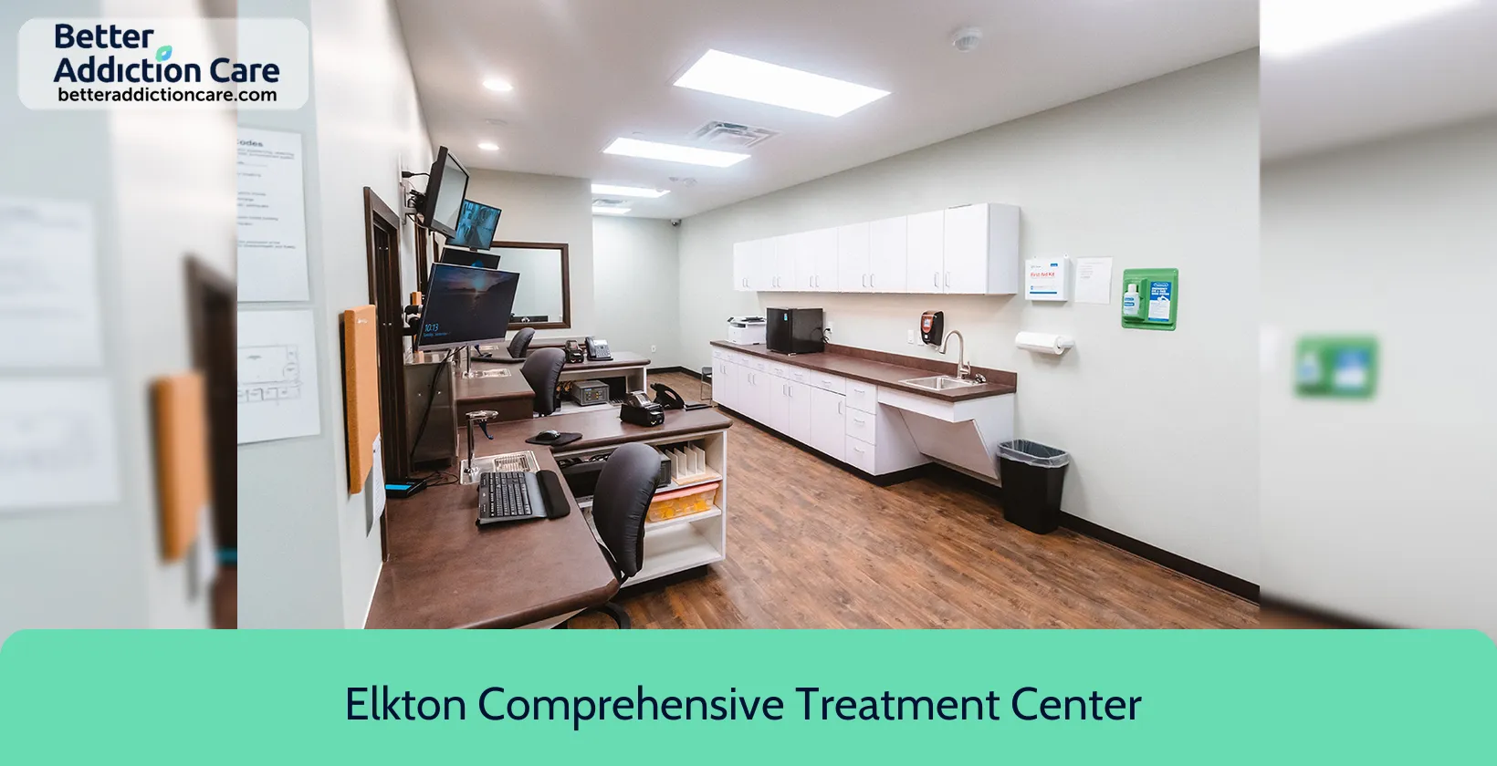 Elkton Comprehensive Treatment 212 Blue Ball 1 Elkton Comprehensive Treatment 212 Blue Ball 1