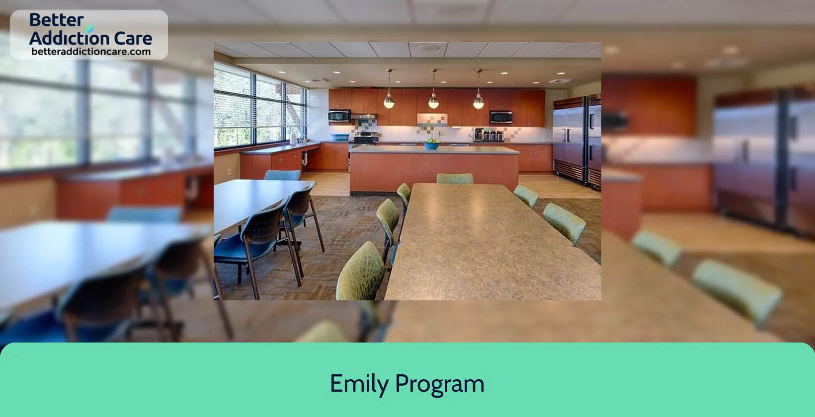 Emily Program 2020 East 29th 1 Emily Program 2020 East 29th 1