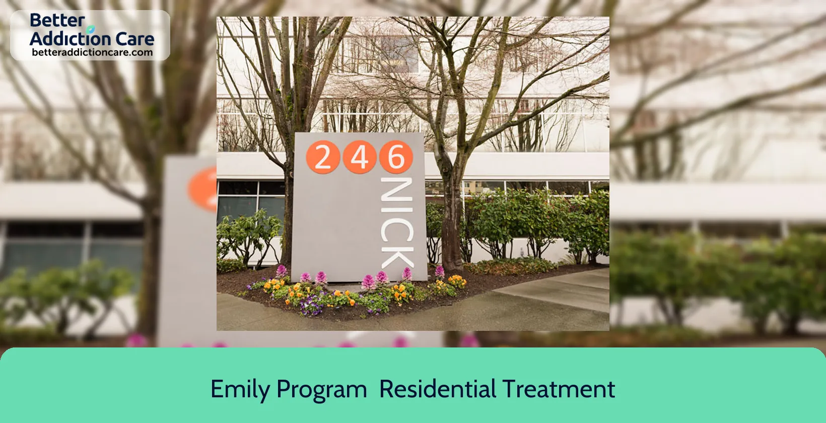 Emily Program 4 Nickerson Street 1 Emily Program 4 Nickerson Street 1
