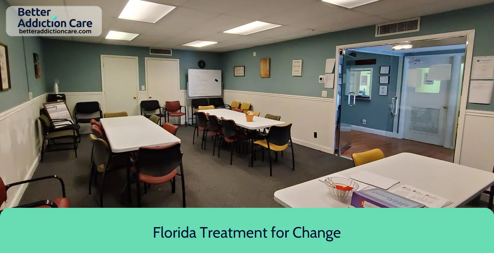 Florida Treatment for 2180 Maravilla Lane 1 Florida Treatment for 2180 Maravilla Lane 1