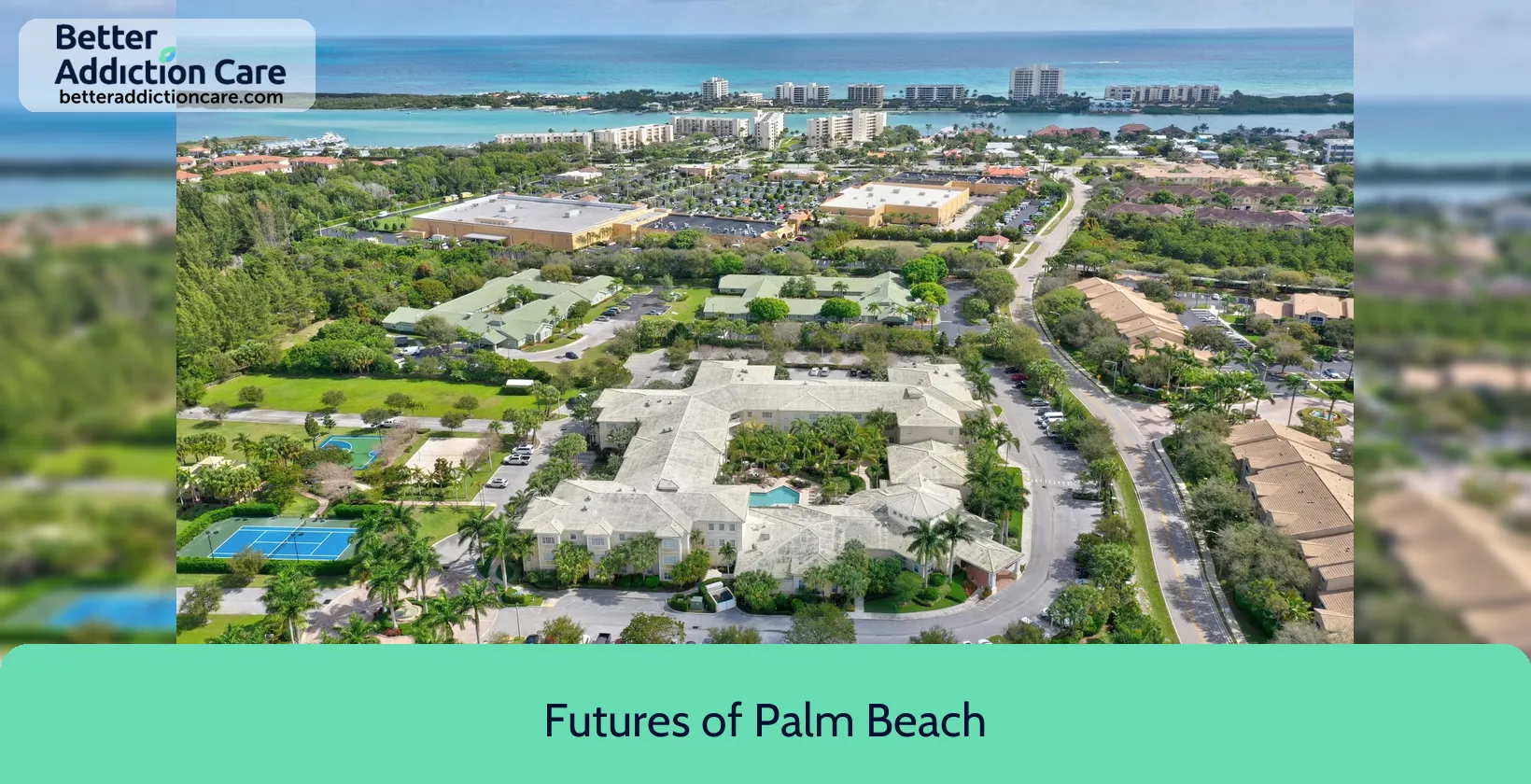 Futures of Palm 701 Old Dixie 1 Futures of Palm 701 Old Dixie 1