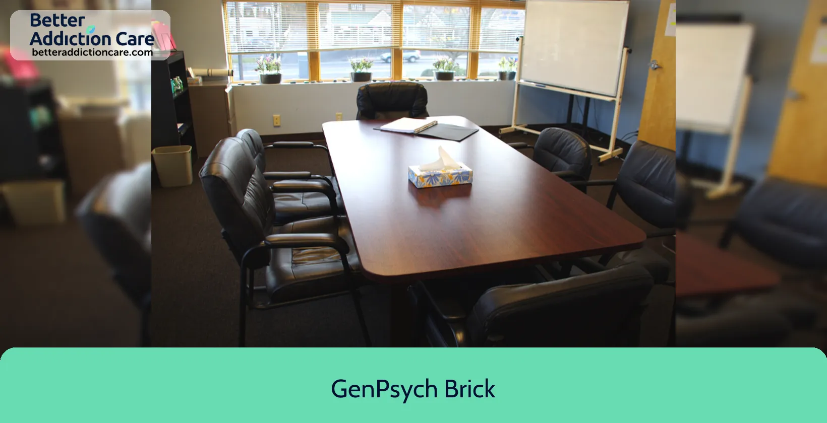 GenPsych Brick 940 Cedar Bridge 1 GenPsych Brick 940 Cedar Bridge 1