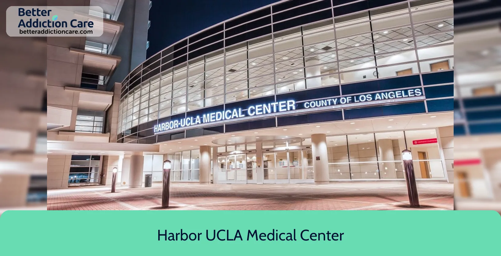Harbor UCLA Medical 1000 West Carson 1 Harbor UCLA Medical 1000 West Carson 1