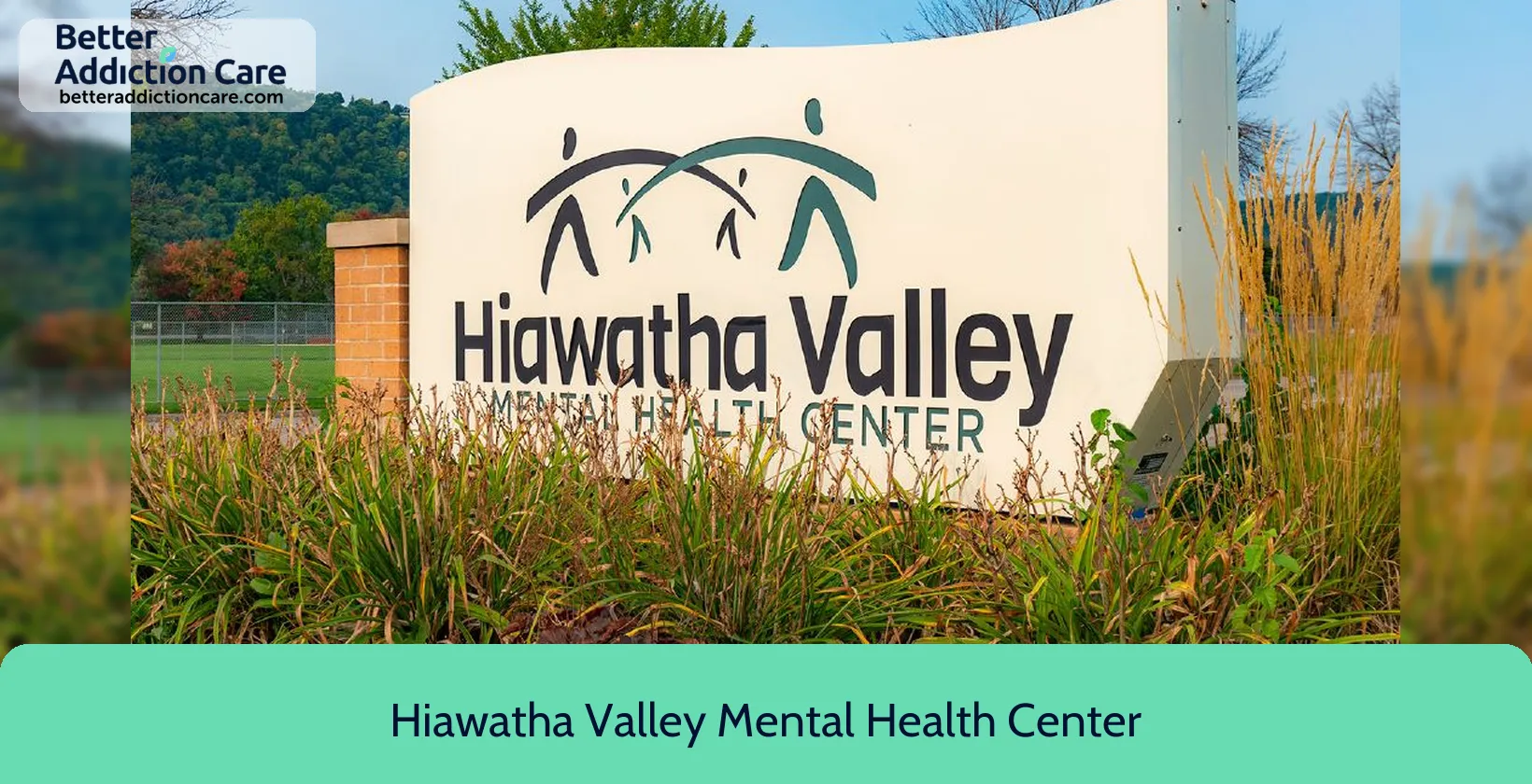 Hiawatha Valley Mental 420 East Sarnia 1 Hiawatha Valley Mental 420 East Sarnia 1