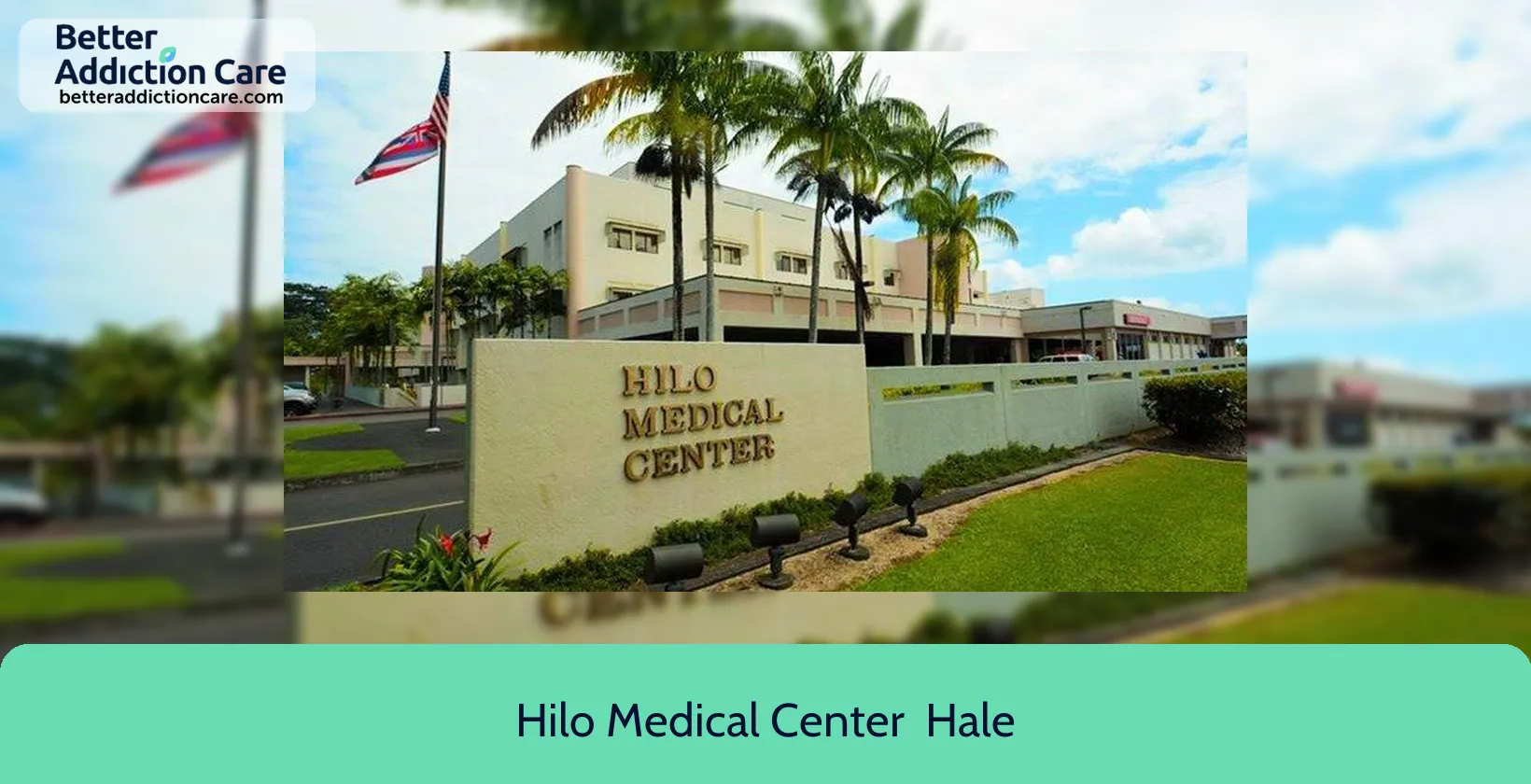 Hilo Medical Center 1190 Waianuenue Avenue 1 Hilo Medical Center 1190 Waianuenue Avenue 1