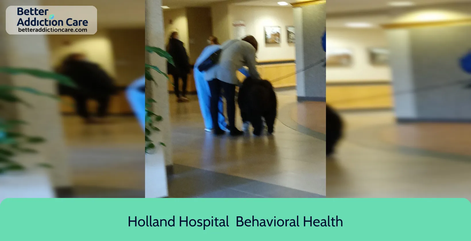 Holland Hospital 602 Michigan Avenue 1 Holland Hospital 602 Michigan Avenue 1