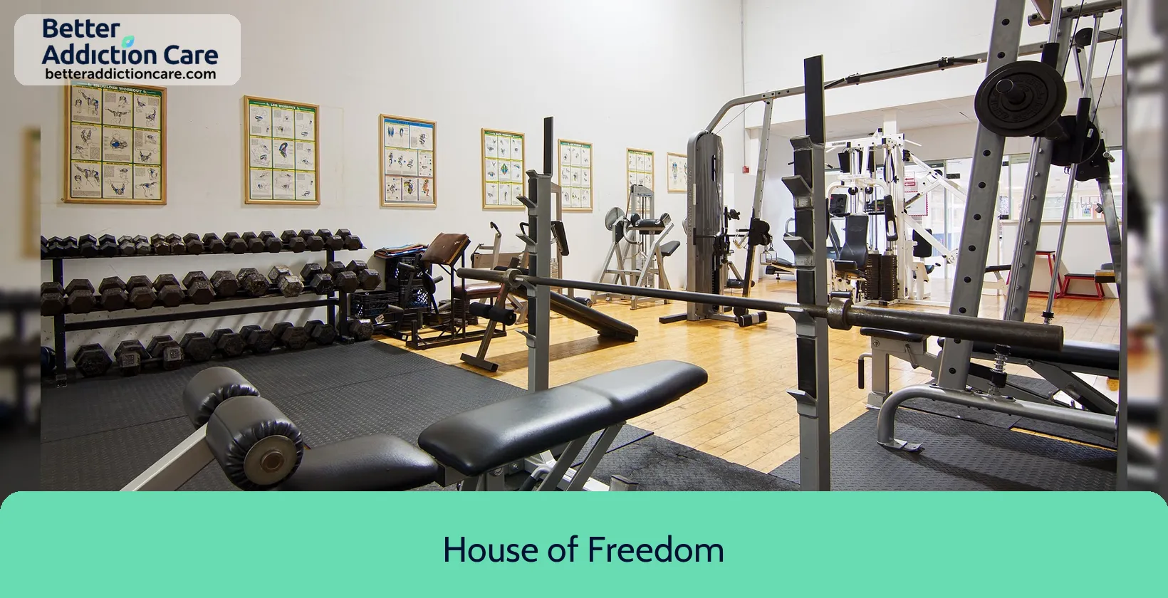 House of Freedom 2311 North Orange 1 House of Freedom 2311 North Orange 1