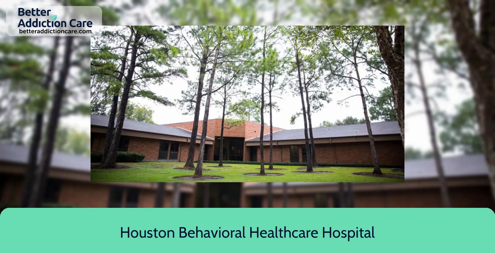 Houston Behavioral Healthcare 2801 North Gessner 1 Houston Behavioral Healthcare 2801 North Gessner 1