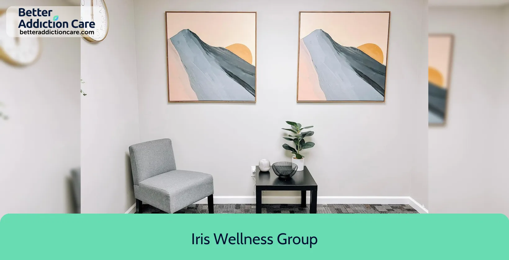 Iris Wellness Group 901 Mountain Creek 1 Iris Wellness Group 901 Mountain Creek 1