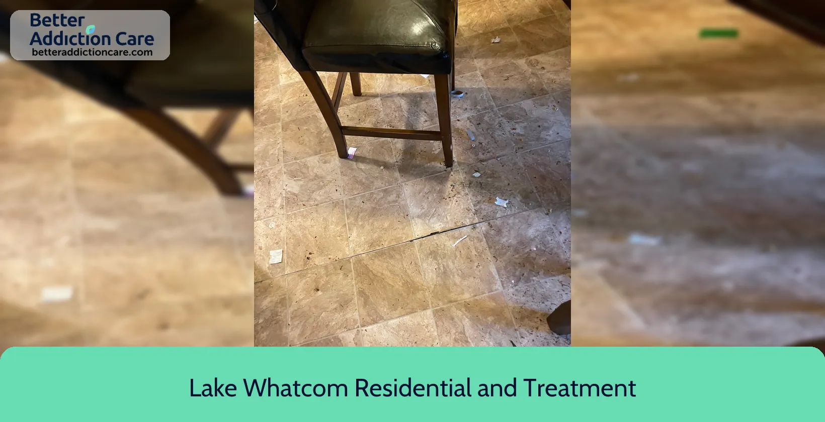 Lake Whatcom Residential 3600 Meridian Street 1 Lake Whatcom Residential 3600 Meridian Street 1