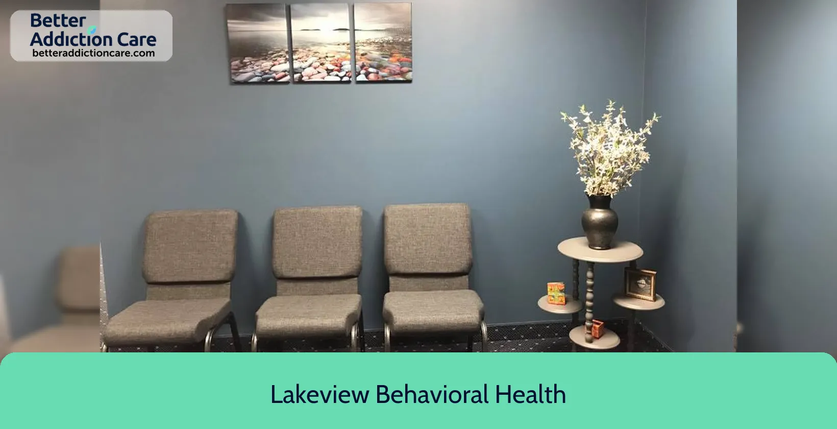 Lakeview Behavioral Health 516 South Pokegama 1 Lakeview Behavioral Health 516 South Pokegama 1