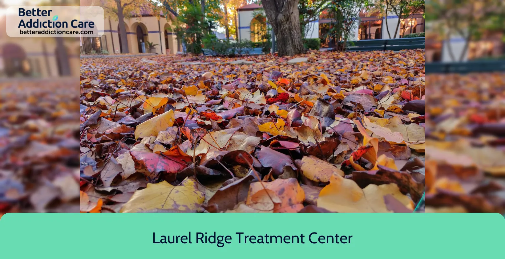 Laurel Ridge Treatment 17720 Corporate Woods 1 Laurel Ridge Treatment 17720 Corporate Woods 1