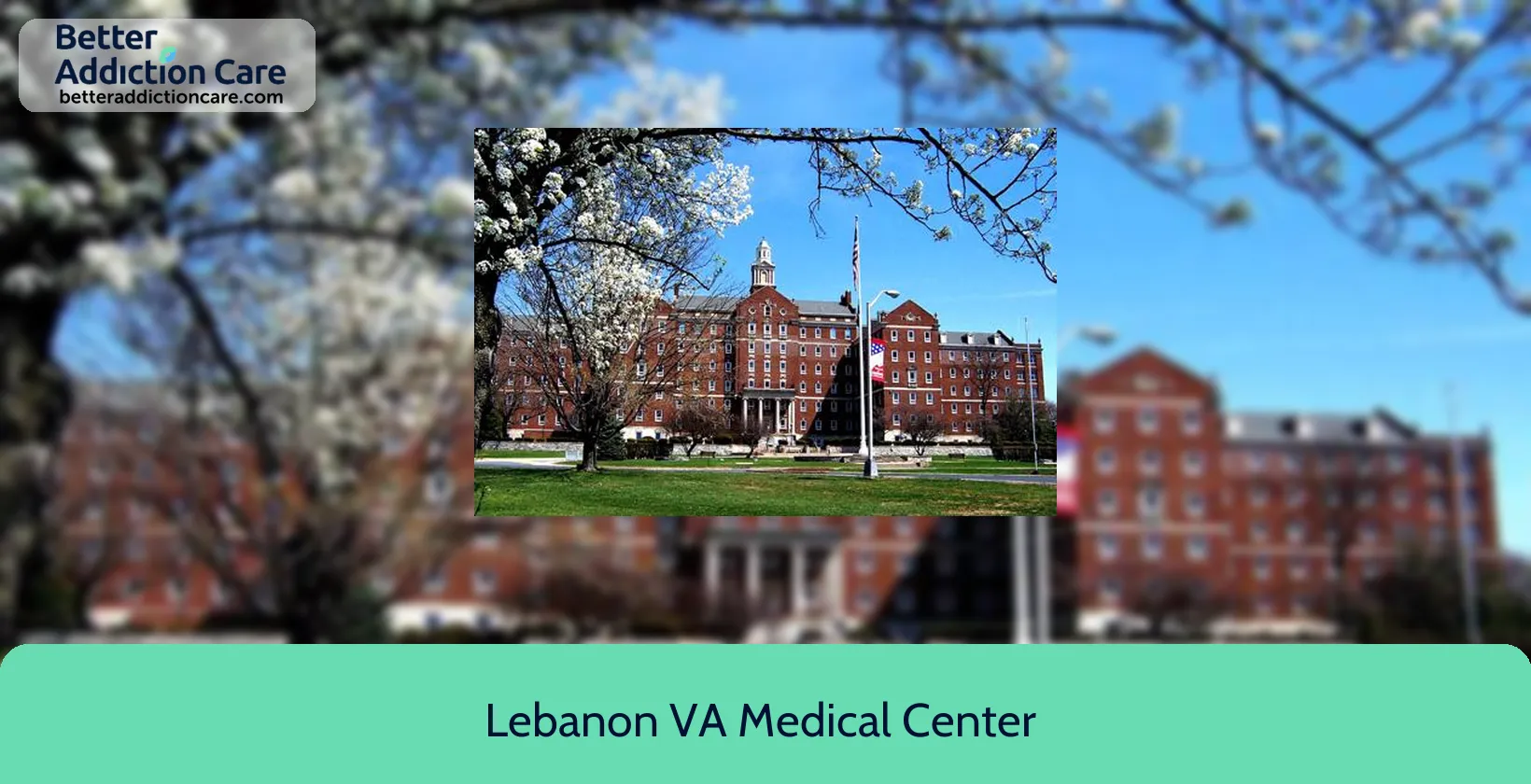 Lebanon VA Medical 1700 South Lincoln 1 Lebanon VA Medical 1700 South Lincoln 1