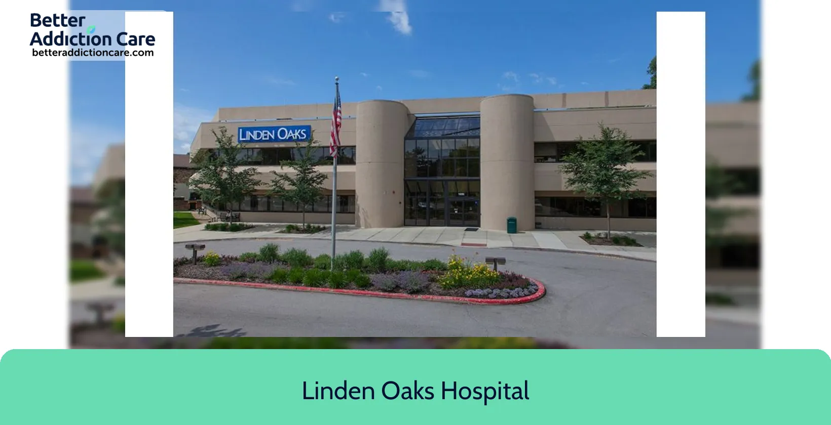 Linden Oaks Hospital 1335 North Mill 1 Linden Oaks Hospital 1335 North Mill 1