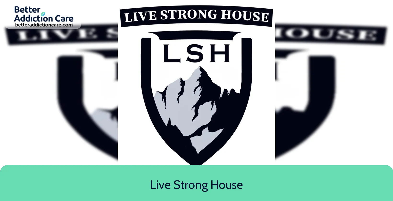 Live Strong House 377 North Marshall 1 Live Strong House 377 North Marshall 1