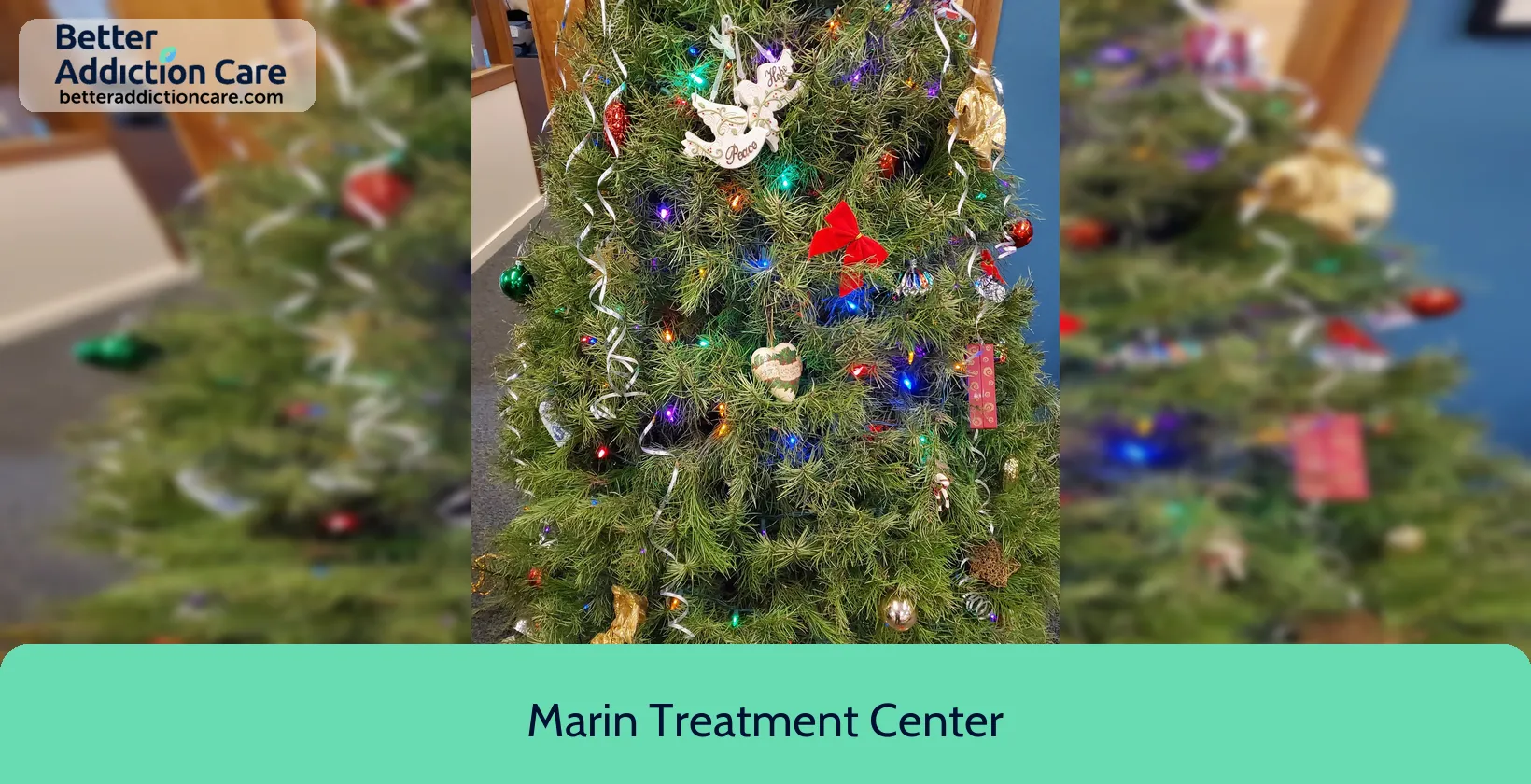 Marin Treatment Center 1466 Lincoln Avenue 1 Marin Treatment Center 1466 Lincoln Avenue 1