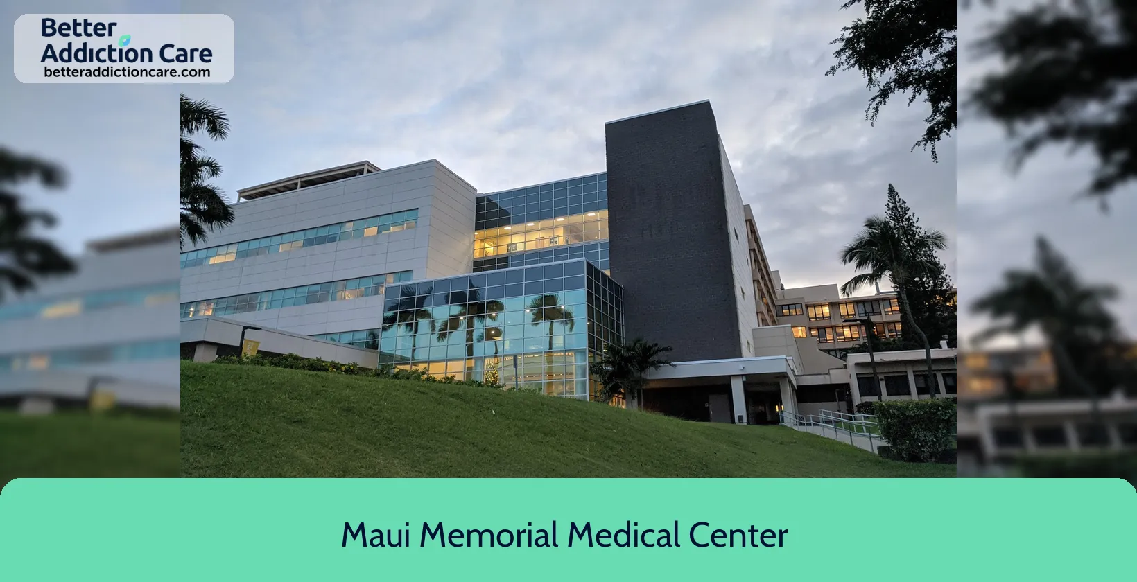 Maui Memorial Medical 221 Mahalani Street 1 Maui Memorial Medical 221 Mahalani Street 1