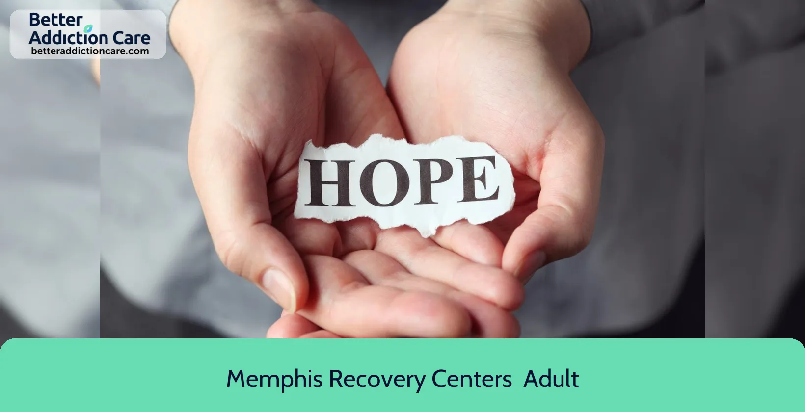 Memphis Recovery Centers 219 North Montgomery 1 Memphis Recovery Centers 219 North Montgomery 1