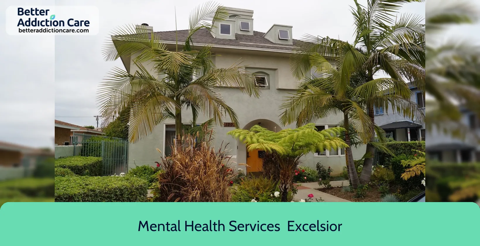 Mental Health Services 1007 Myrtle Avenue 1 Mental Health Services 1007 Myrtle Avenue 1