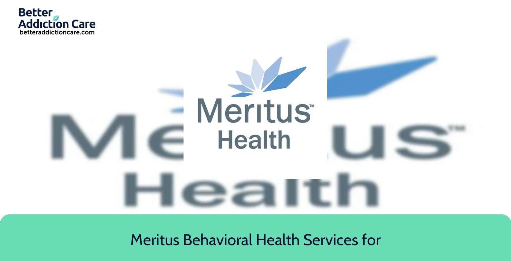 Meritus Behavioral Health 11116 Medical Campus 1 Meritus Behavioral Health 11116 Medical Campus 1