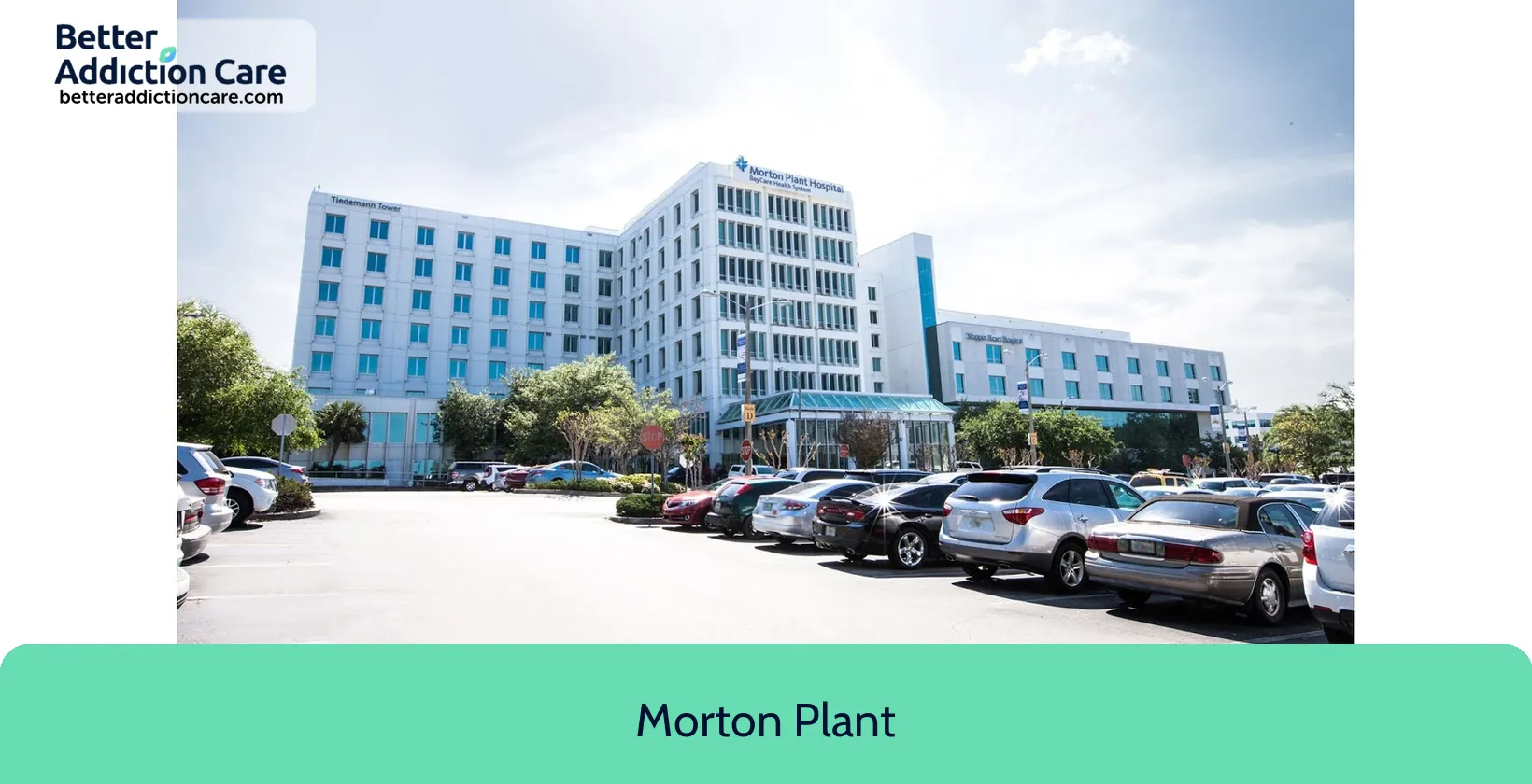 Morton Plant 300 Pinellas Street 1 Morton Plant 300 Pinellas Street 1