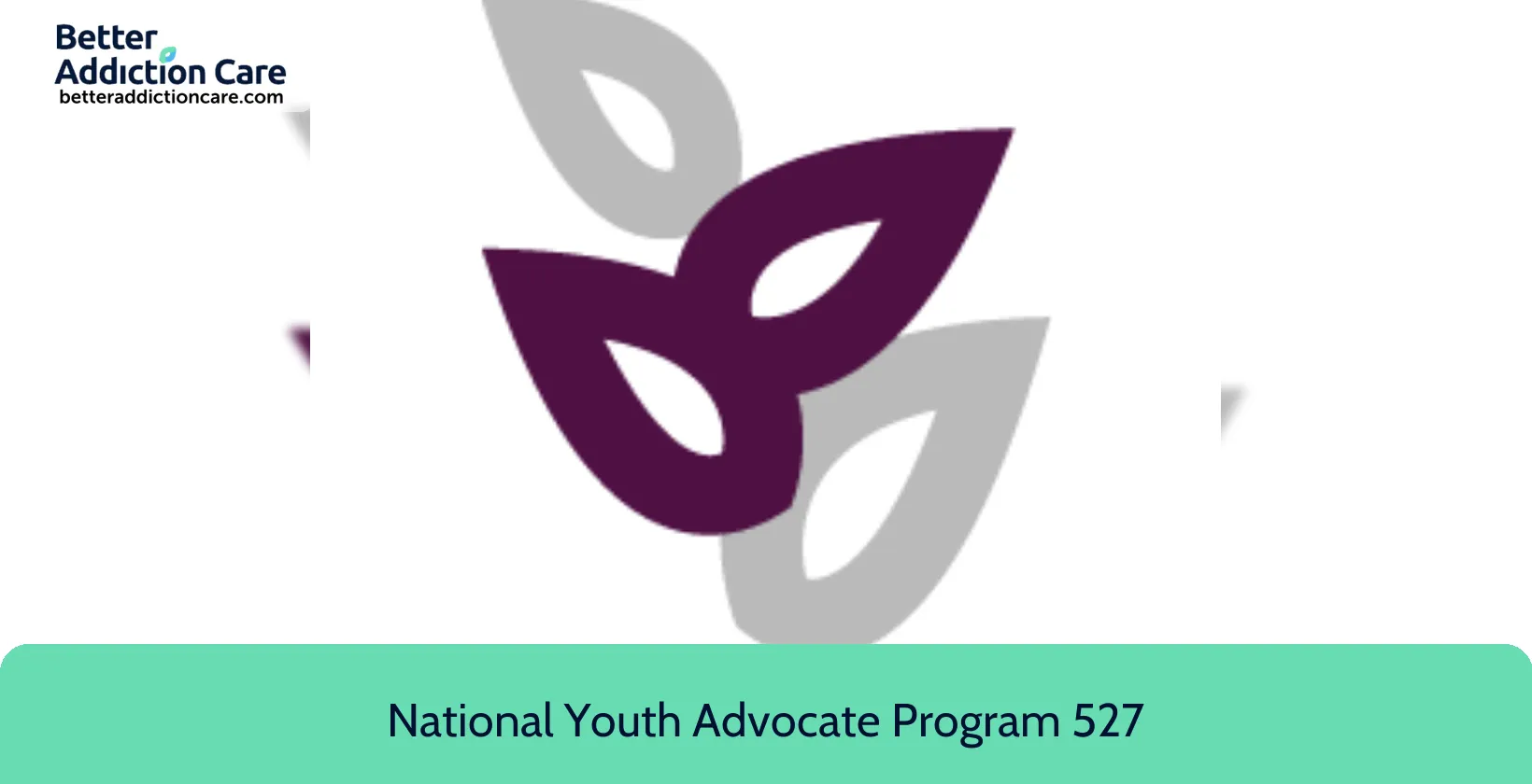 National Youth Advocate 527 South High 1 National Youth Advocate 527 South High 1