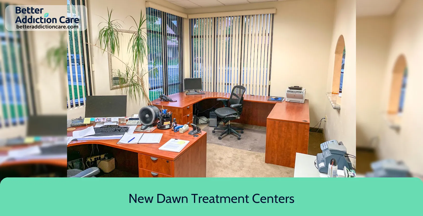 New Dawn Treatment 9498 Double R 1 New Dawn Treatment 9498 Double R 1