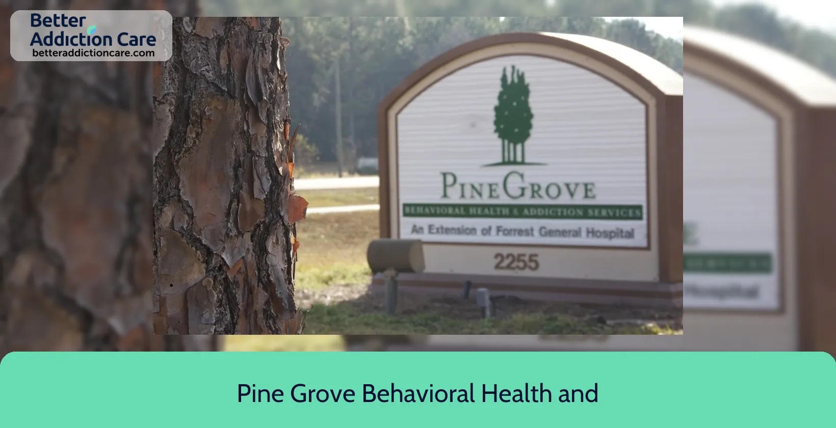 Pine Grove Behavioral 2255 Broadway Drive 1 Pine Grove Behavioral 2255 Broadway Drive 1
