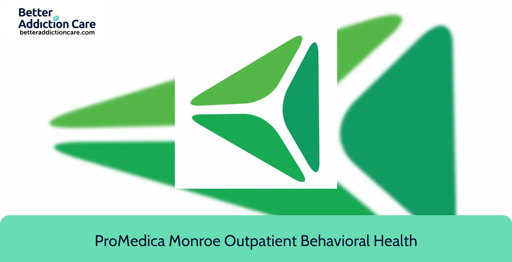 ProMedica Monroe Outpatient 730 N Macomb 1 ProMedica Monroe Outpatient 730 N Macomb 1