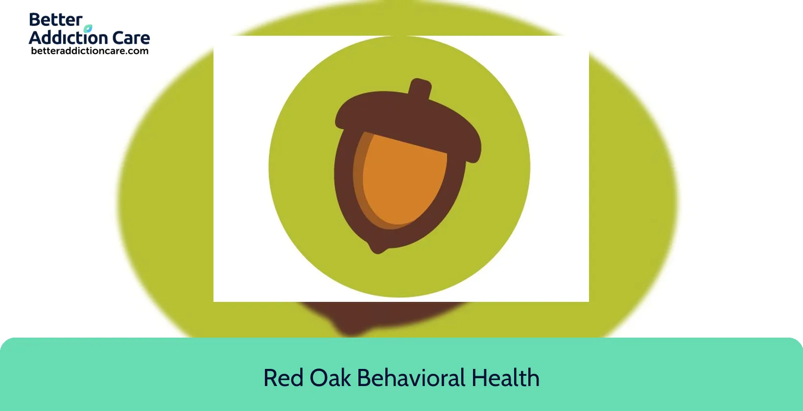 Red Oak Behavioral 611 West Market 2
