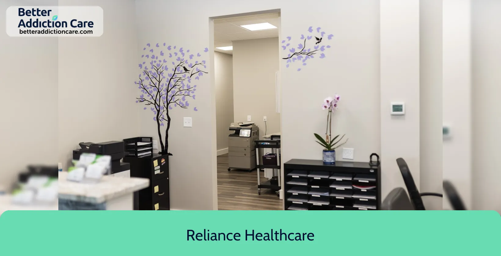 Reliance Healthcare 1993 Pulaski Highway 1 Reliance Healthcare 1993 Pulaski Highway 1