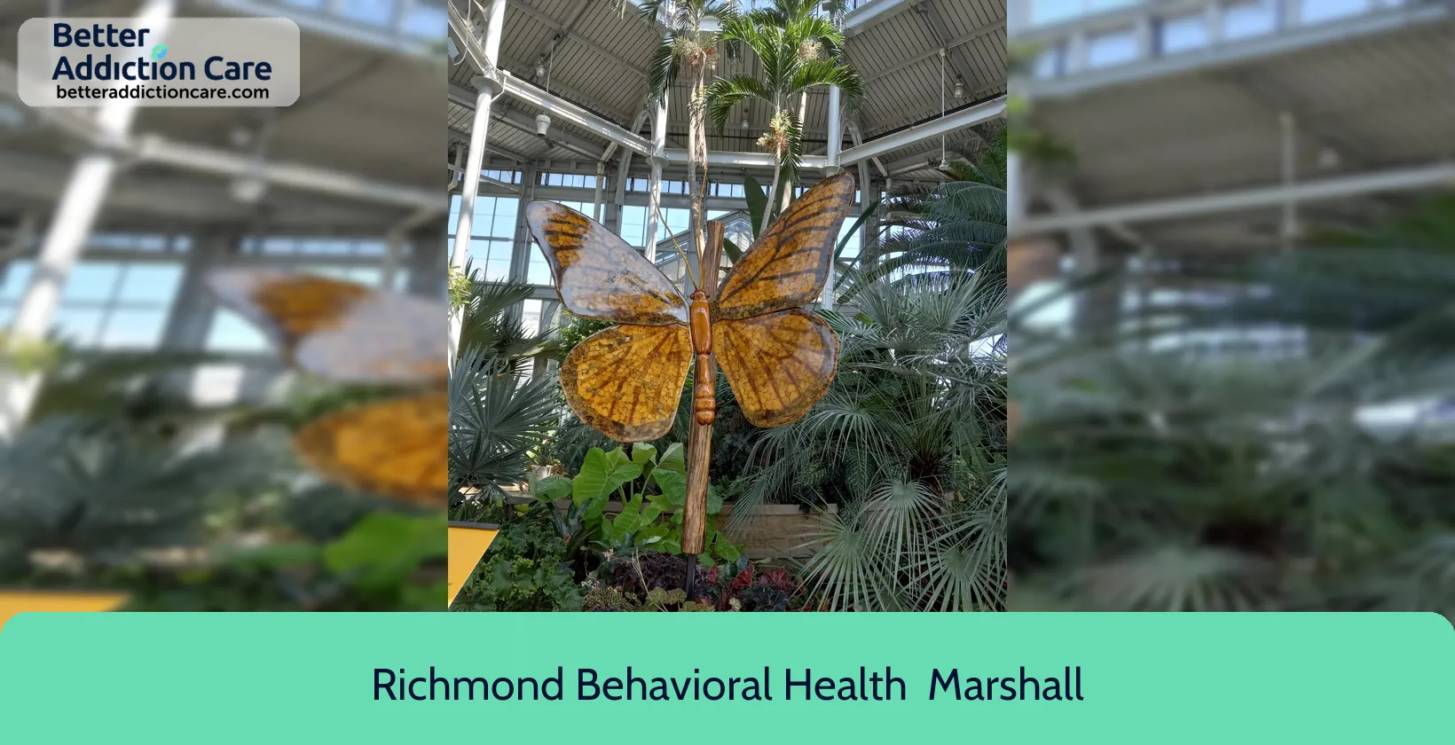 Richmond Behavioral Health 4303 West Broad 1 Richmond Behavioral Health 4303 West Broad 1