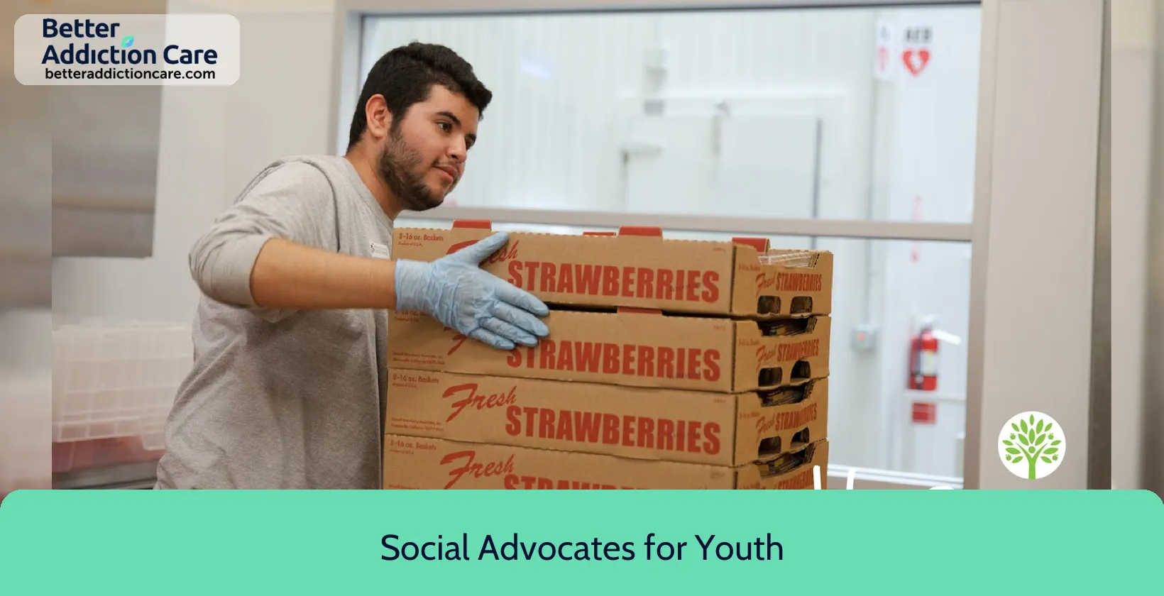 Social Advocates for 2447 Summerfield Road 1 Social Advocates for 2447 Summerfield Road 1
