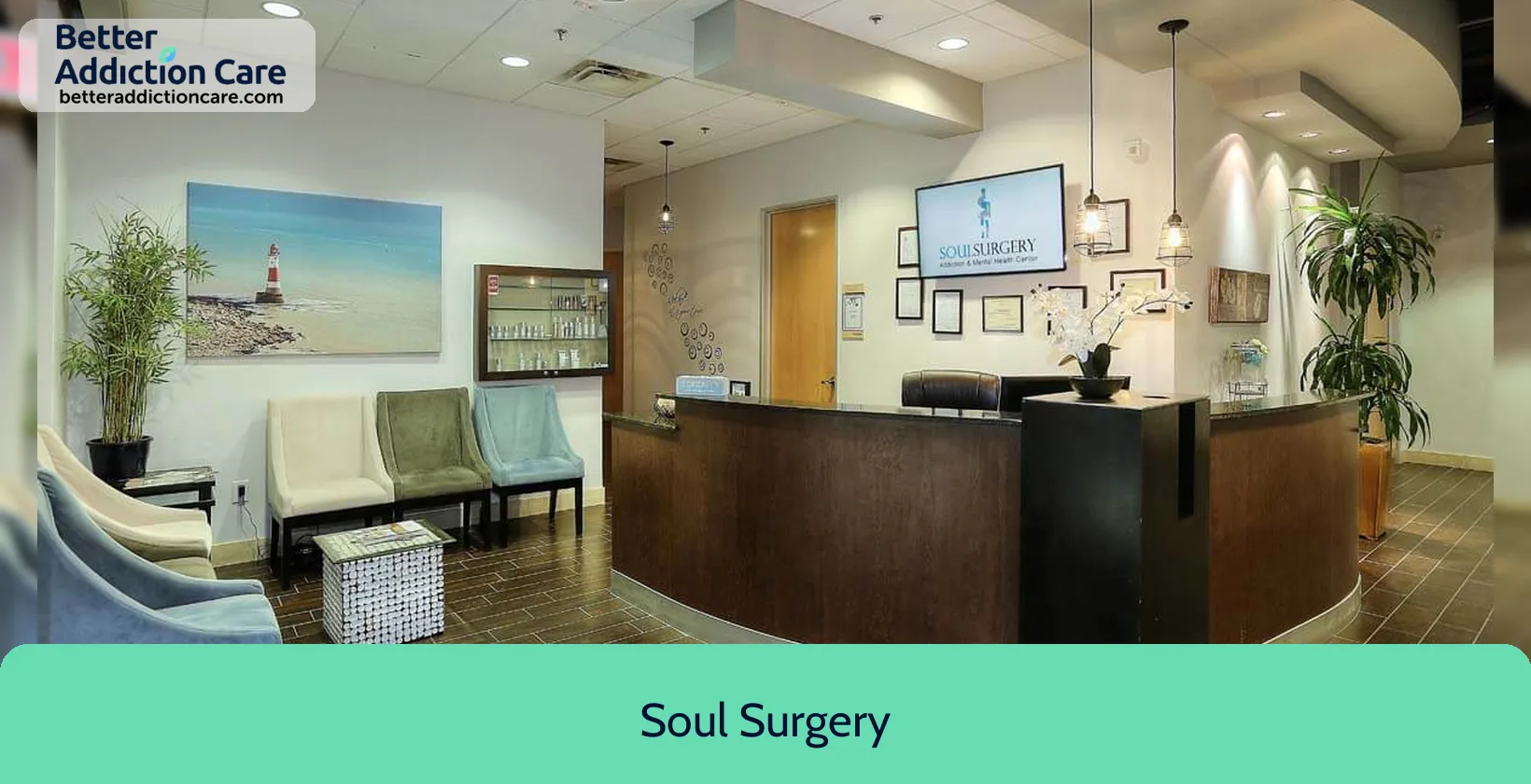 Soul Surgery 14362 North Frank 1 Soul Surgery 14362 North Frank 1
