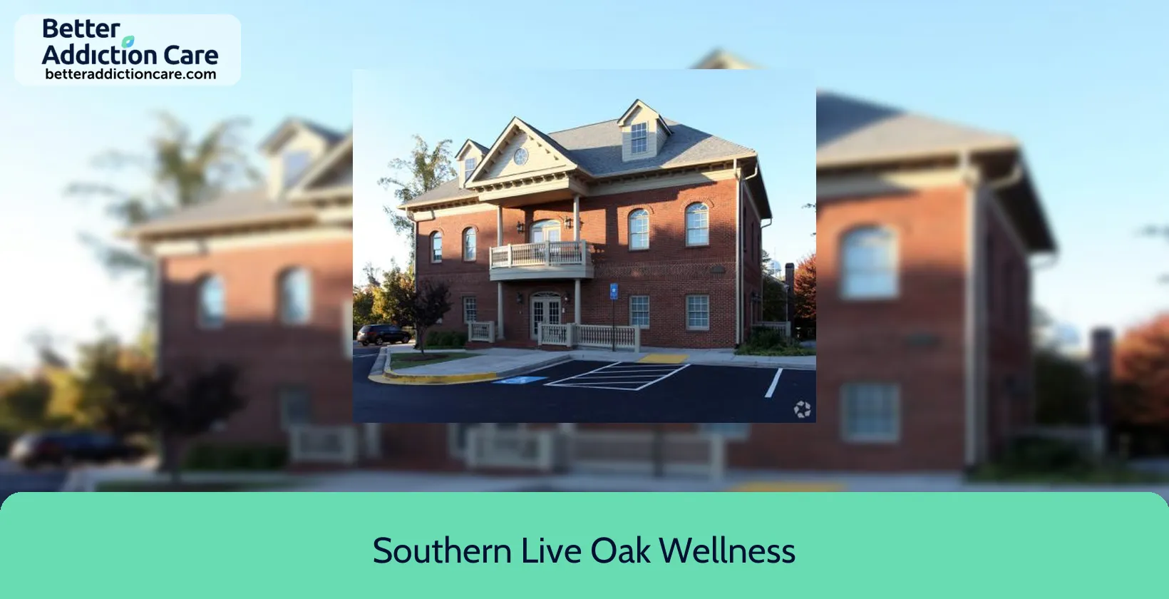 Southern Live Oak 1535 Mount Vernon 1 Southern Live Oak 1535 Mount Vernon 1