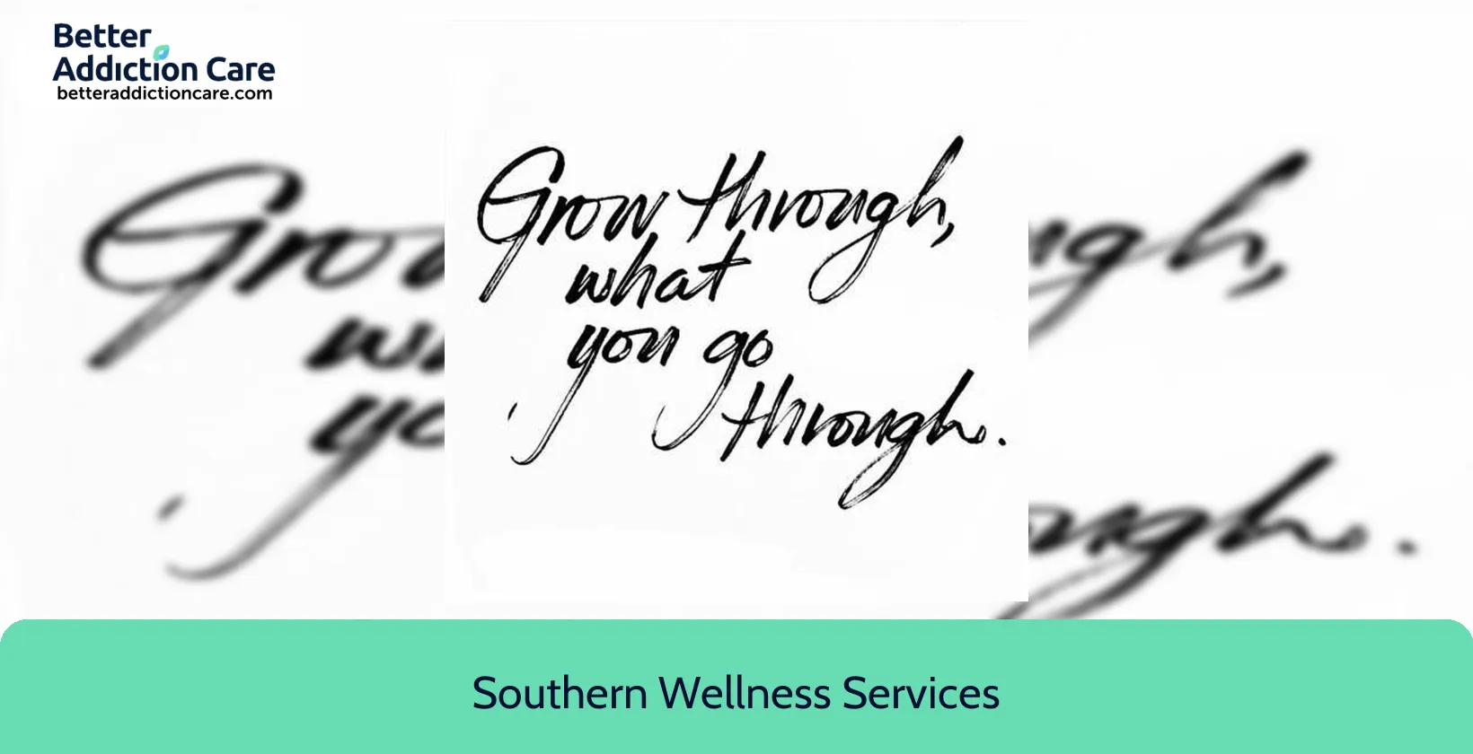 Southern Wellness Services 2618 Hough Road 1 Southern Wellness Services 2618 Hough Road 1