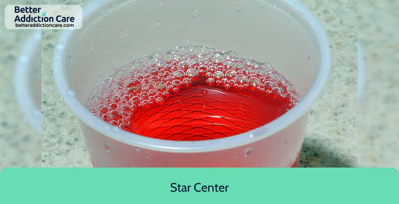 Star Center 13575 Lesure Street 1 Star Center 13575 Lesure Street 1
