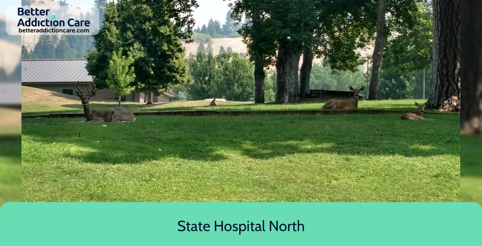 State Hospital North 300 Hospital Drive 1 State Hospital North 300 Hospital Drive 1
