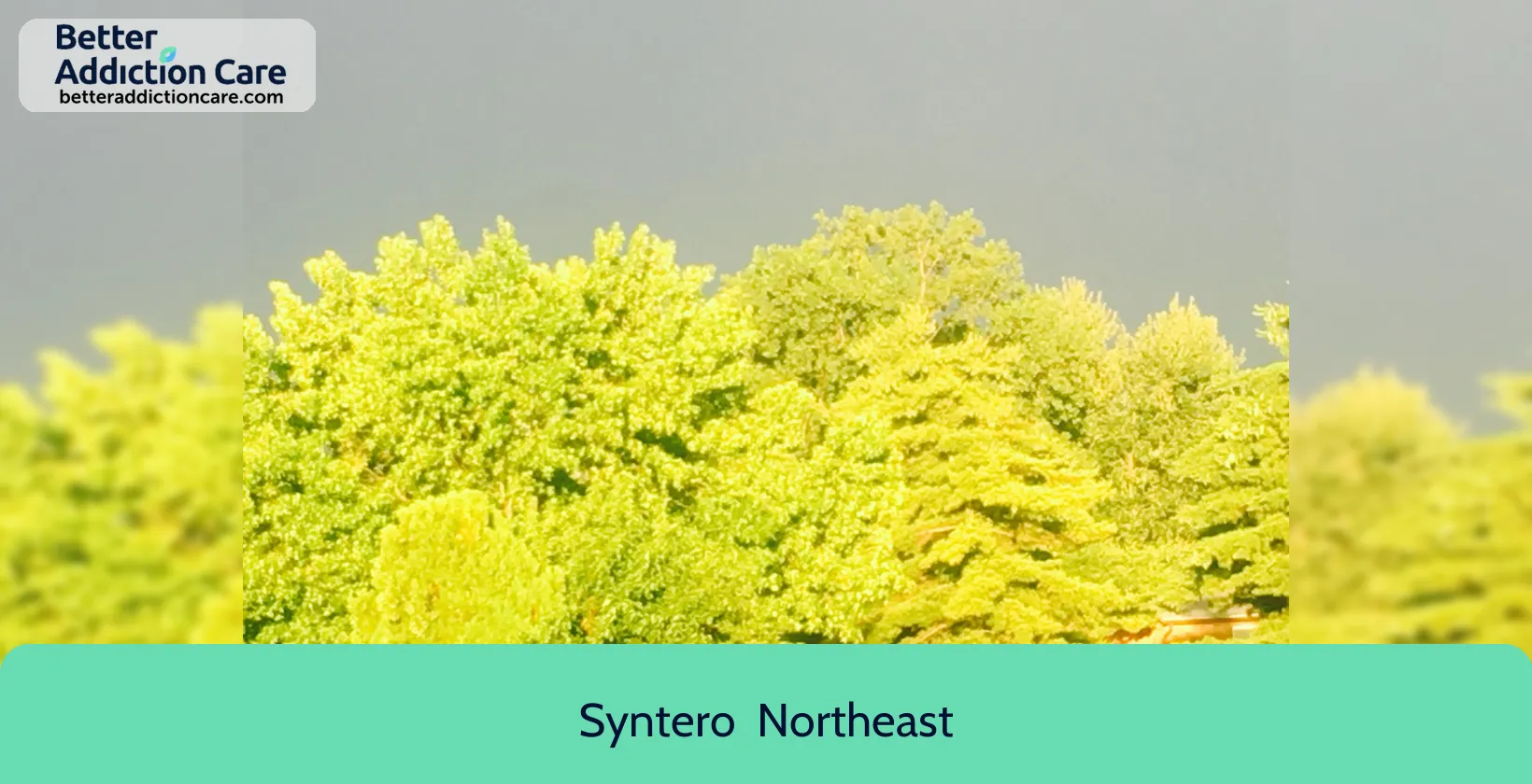 Syntero Northeast 3433 Agler Road 1 Syntero Northeast 3433 Agler Road 1