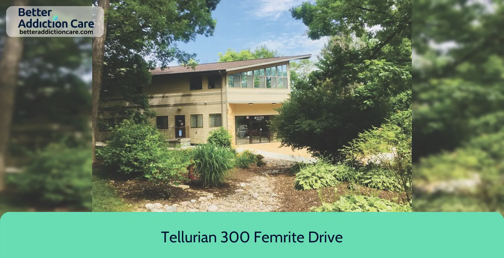 Tellurian 300 Femrite 300 Femrite Drive 1 Tellurian 300 Femrite 300 Femrite Drive 1