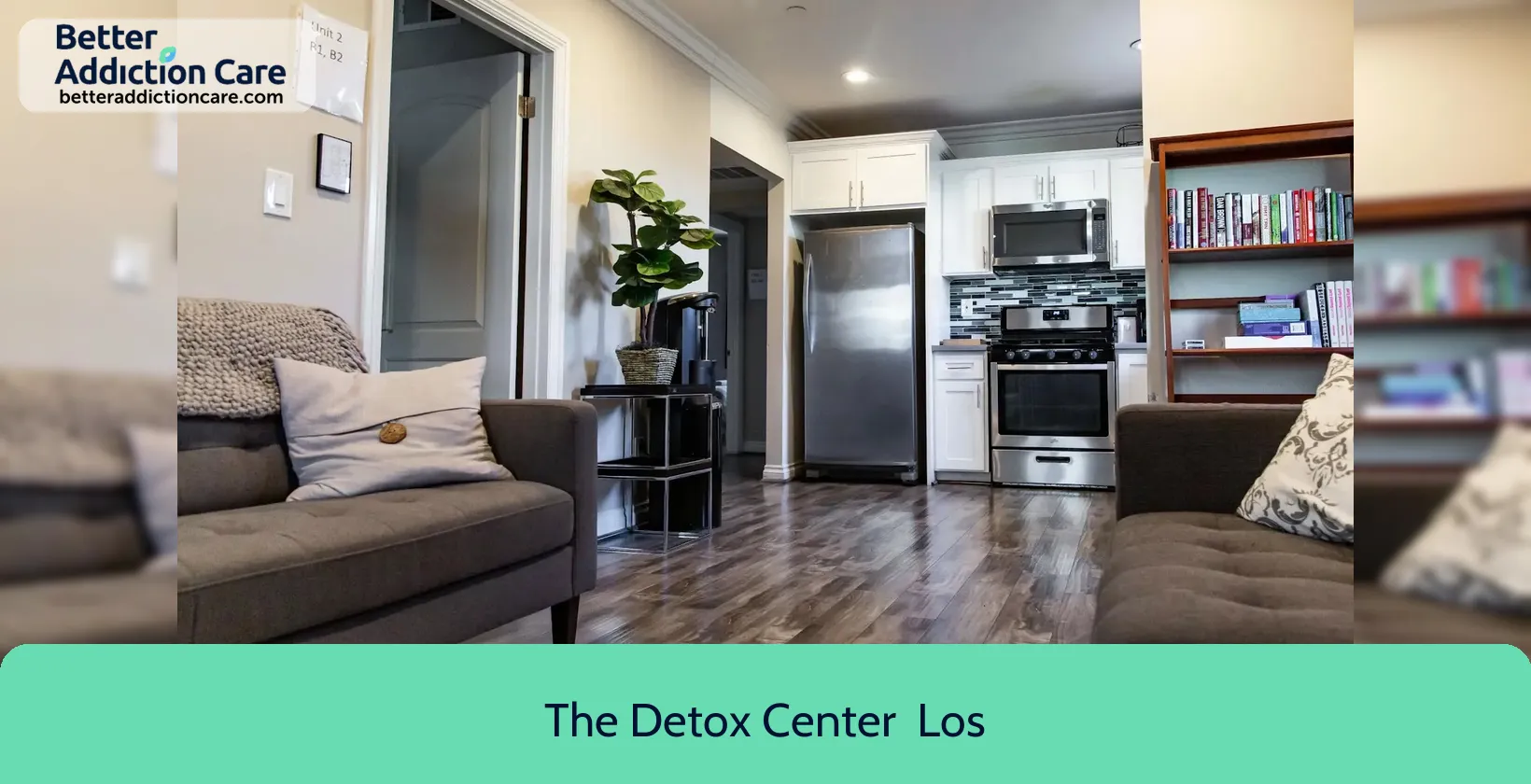 The Detox Center 1741 Hauser Blvd 1 The Detox Center 1741 Hauser Blvd 1