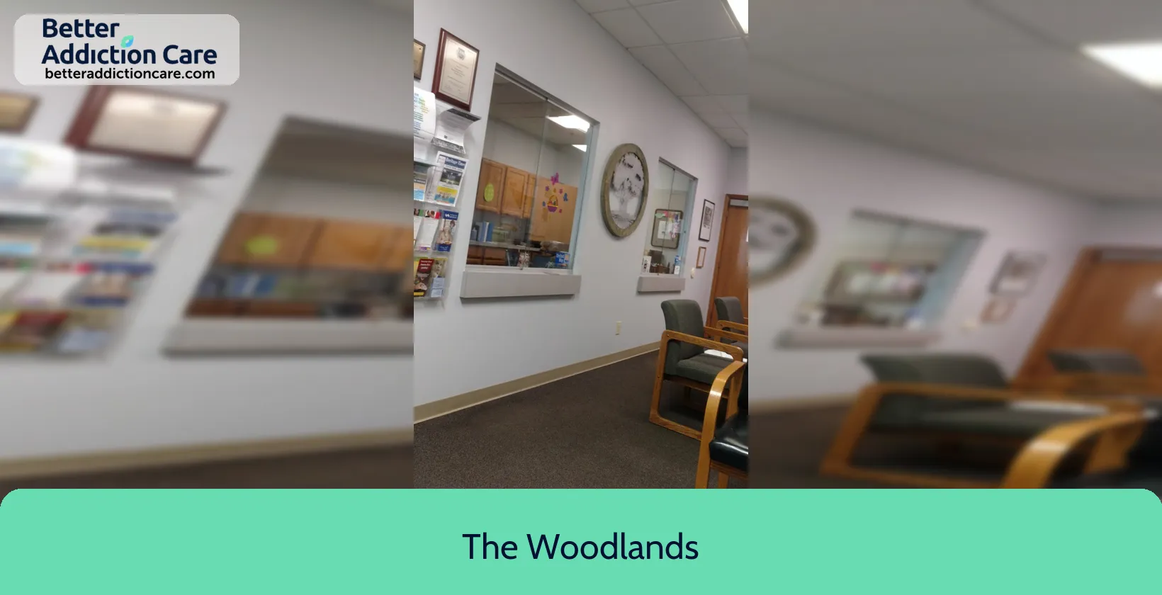 The Woodlands 195 Union Street 1 The Woodlands 195 Union Street 1