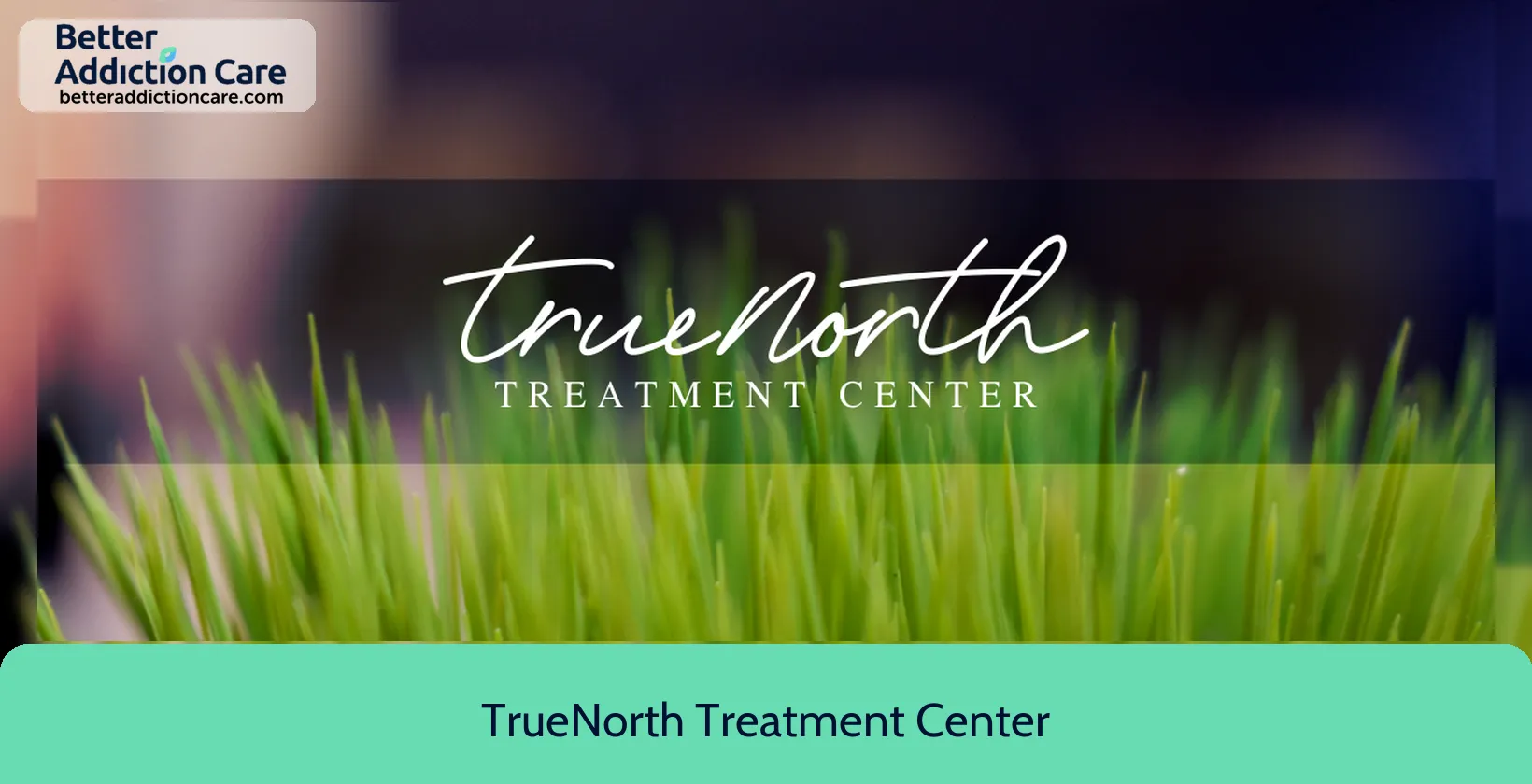 TrueNorth Treatment Center 121 East 2nd 1 TrueNorth Treatment Center 121 East 2nd 1