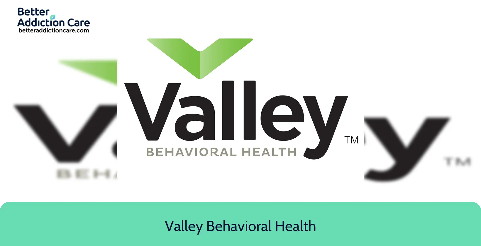 Valley Behavioral Health 1020 South Main 1 Valley Behavioral Health 1020 South Main 1