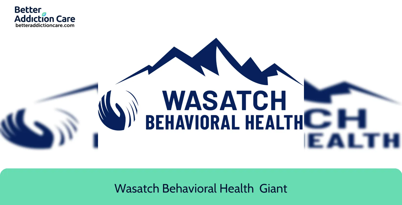 Wasatch Behavioral Health 921 North 1240 1 Wasatch Behavioral Health 921 North 1240 1